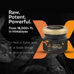 Kesar Gold Shilajit - Image 2