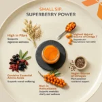 Sea Buckthorn Pulp - Image 6