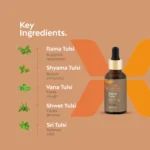 Panch Tulsi Oil - Image 4