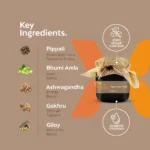Sugar Free Prash - Image 5